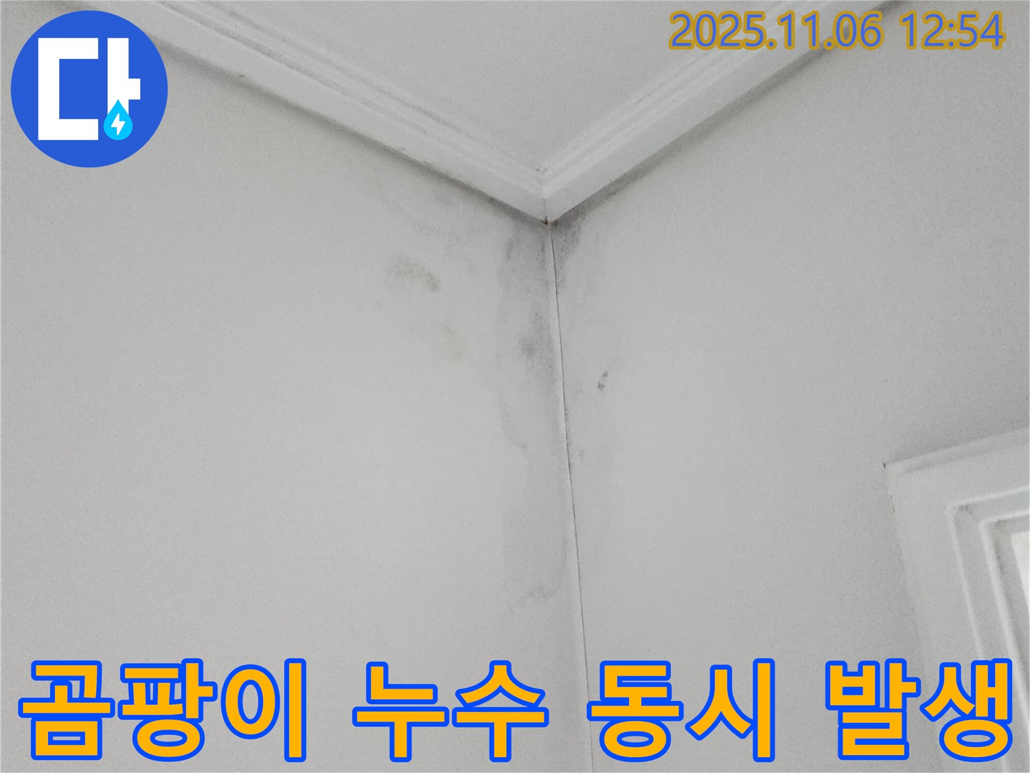 곰팡이와 누수 - 습한 환경, 누수 가능성 의심