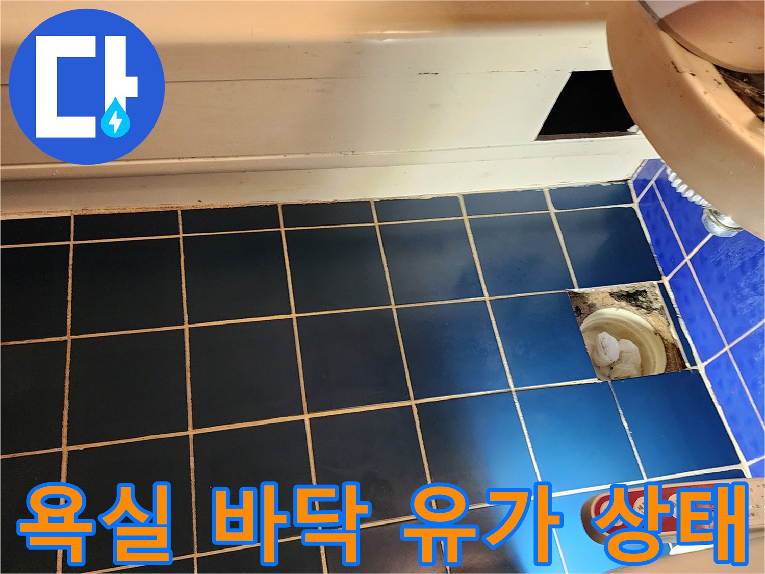 배수구 트랩-타일 접합부 점검 중