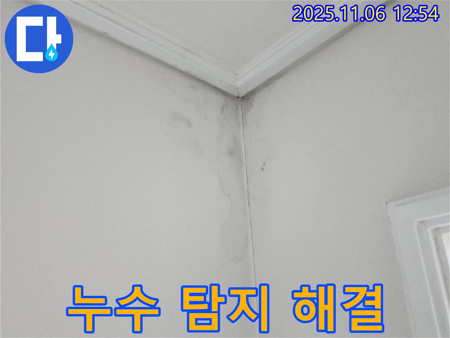 벽 얼룩 - 누수 탐지 전문가, 직접 해결