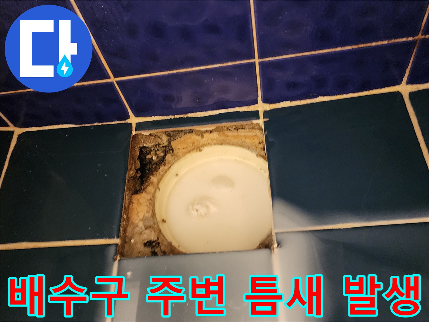 욕실-바닥 배수구 유가와 타일 사이의 파손된 부위