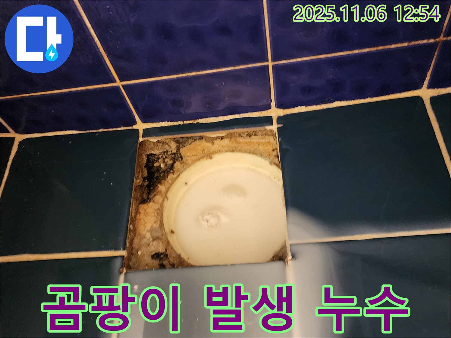 포천 소흘읍 고모리 욕조 배수구 - 주변 곰팡이 발생 및 누수 해결 작업