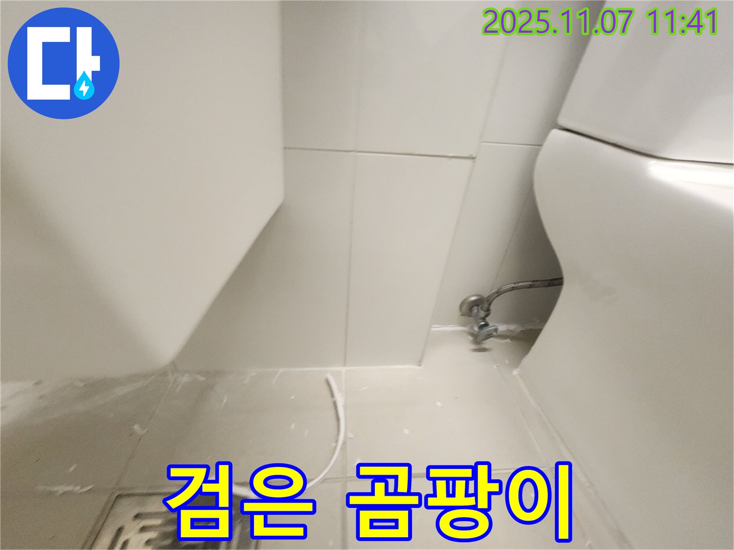 김포 사우동 - 변기 물통 검은 곰팡이, 누수와 습기 때문!