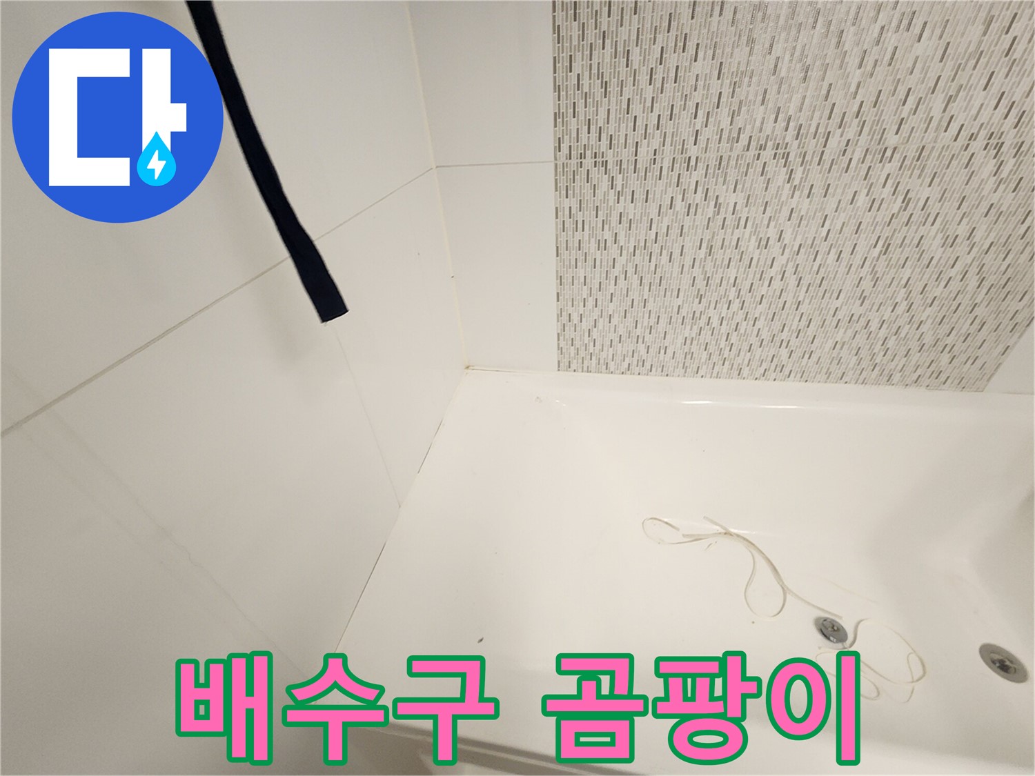 욕조 배수구 주변 - 곰팡이 발생 - 습기 많은 환경