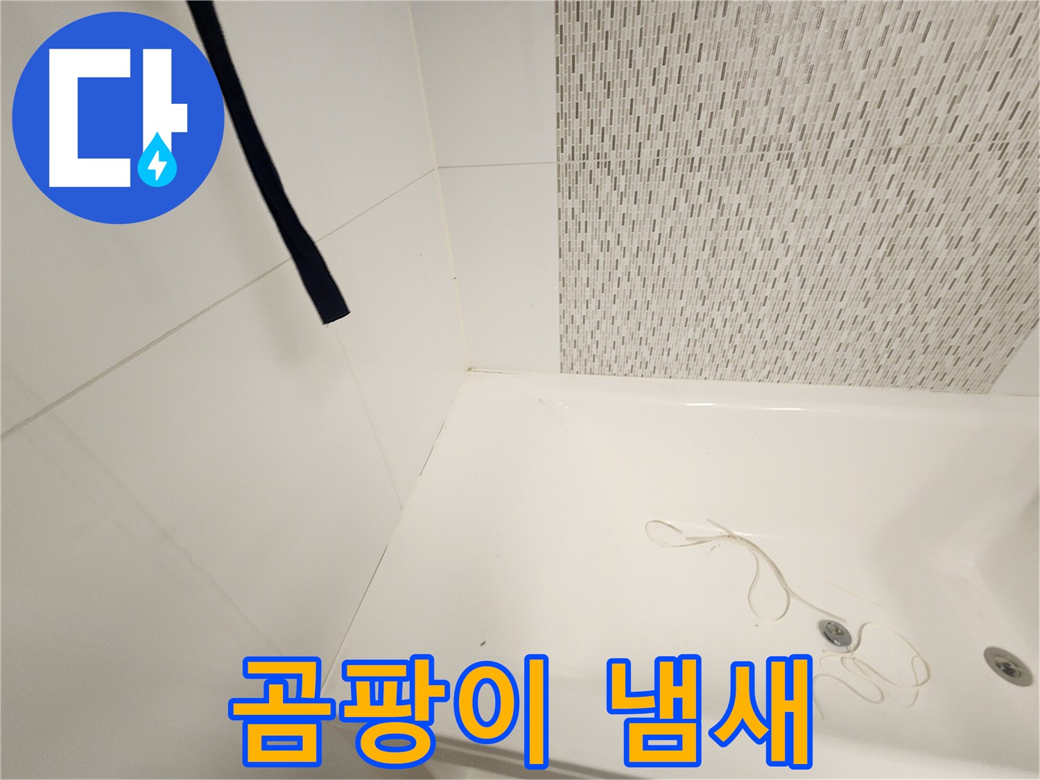 욕조 하부 - 곰팡이 냄새 - 습기 누적 심각