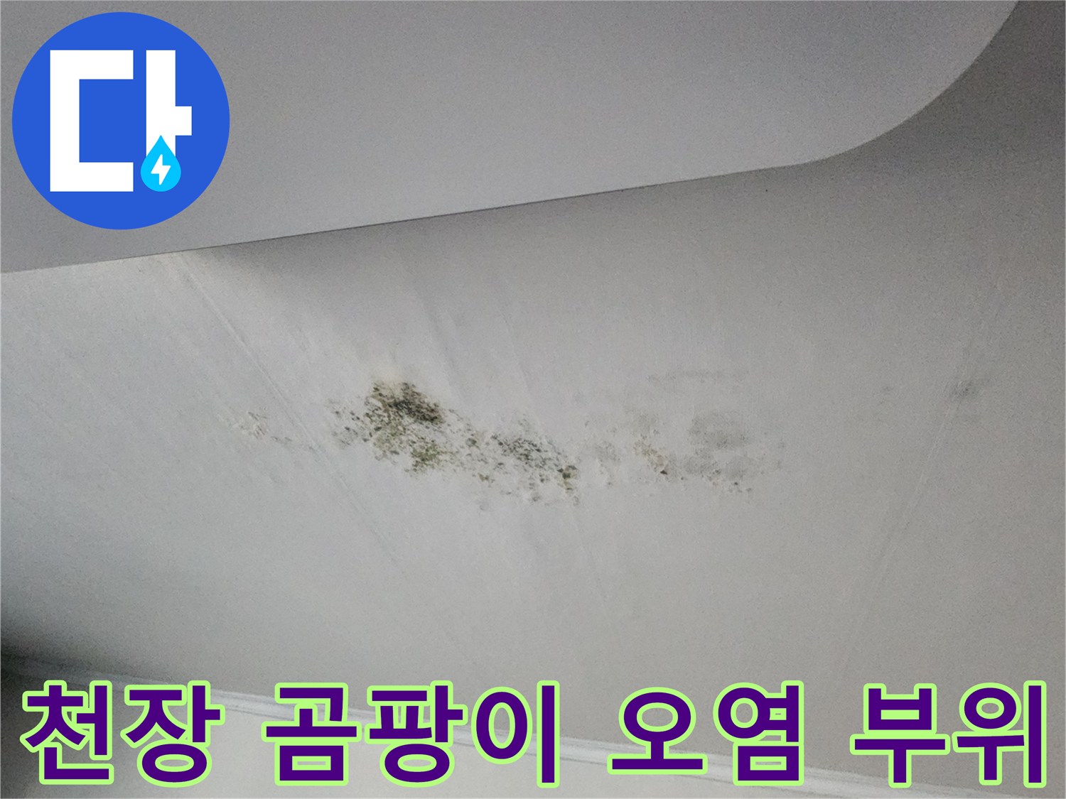 검게 변한 천장 마감재의 곰팡이 발생 현황