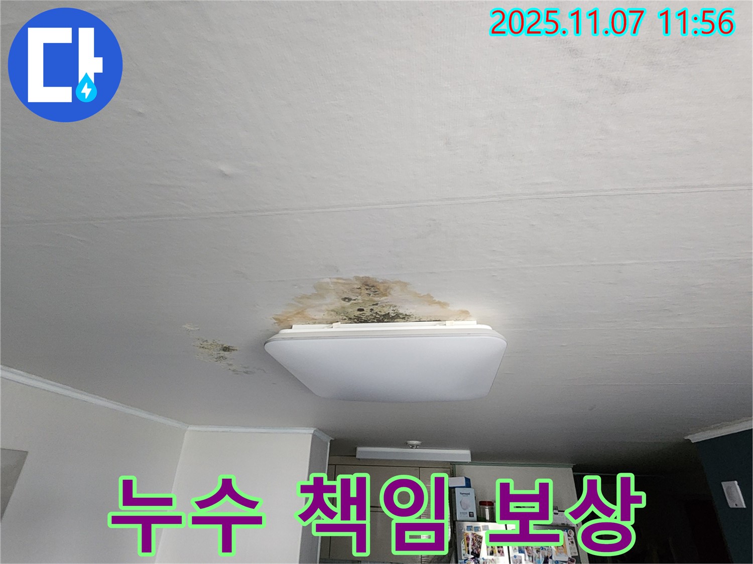 곰팡이 천장 - 누수 책임 소재와 보상 방법