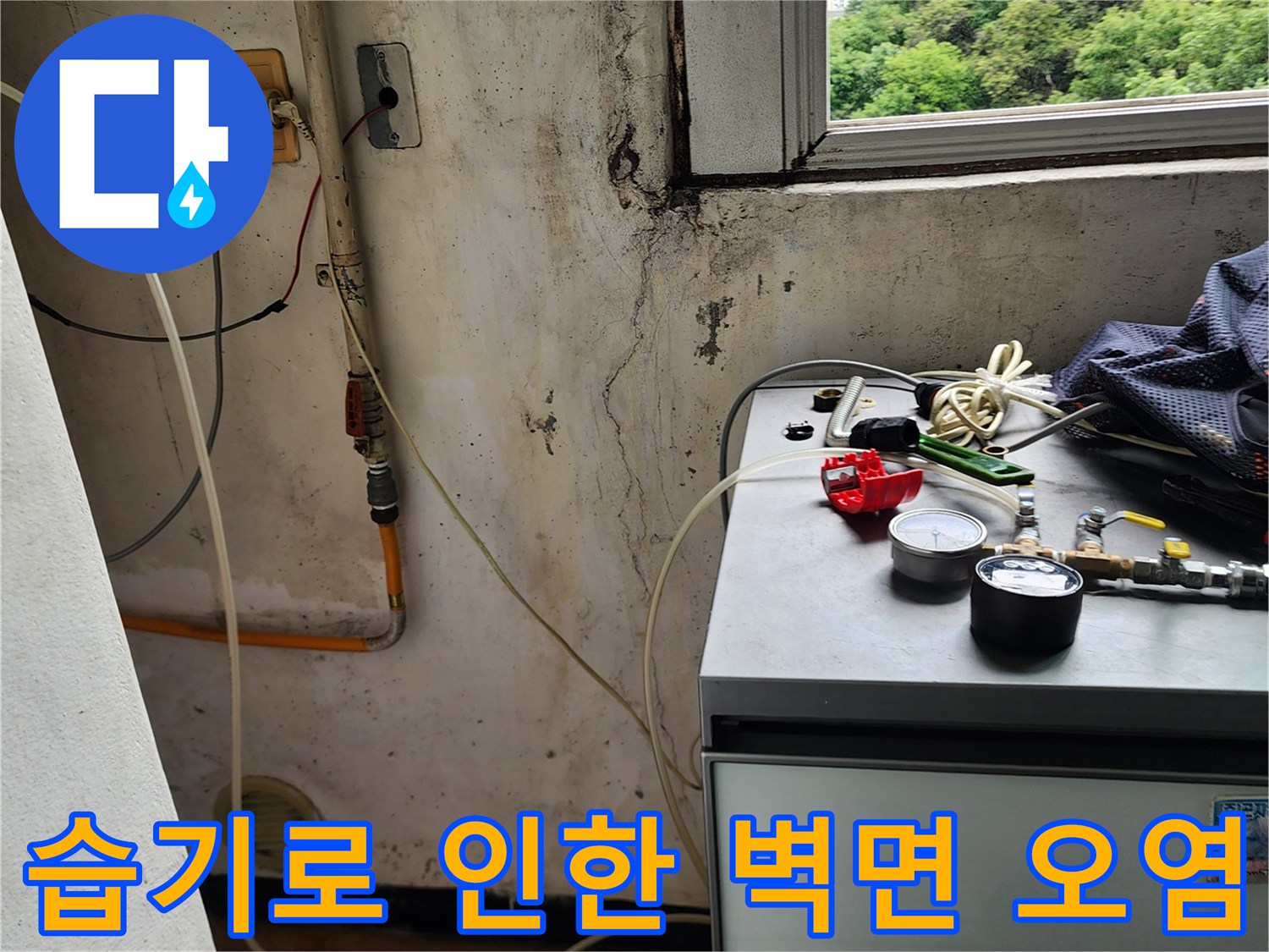 물샘으로 인해 발생한 벽지 변색과 곰팡이 부위