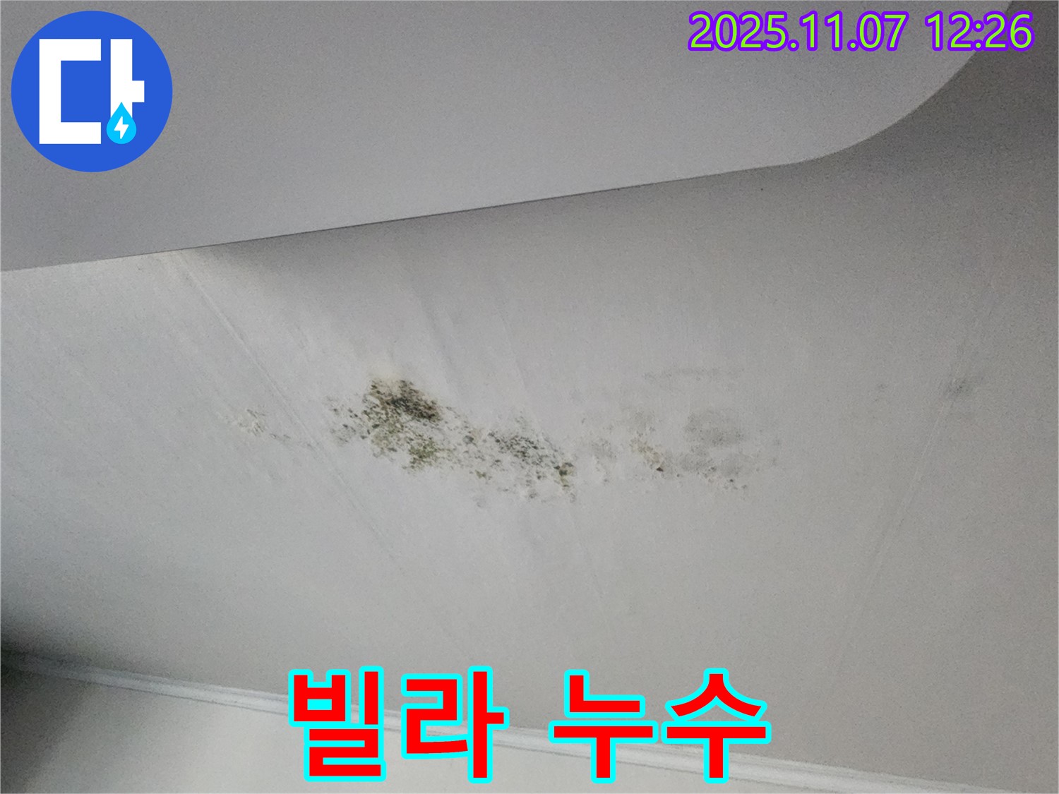 빌라 천장 누수 - 곰팡이와 물 얼룩