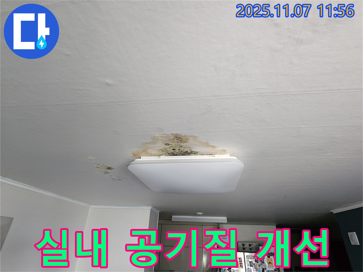의정부 송산1동 천장 누수 - 곰팡이 제거와 실내 공기질 개선