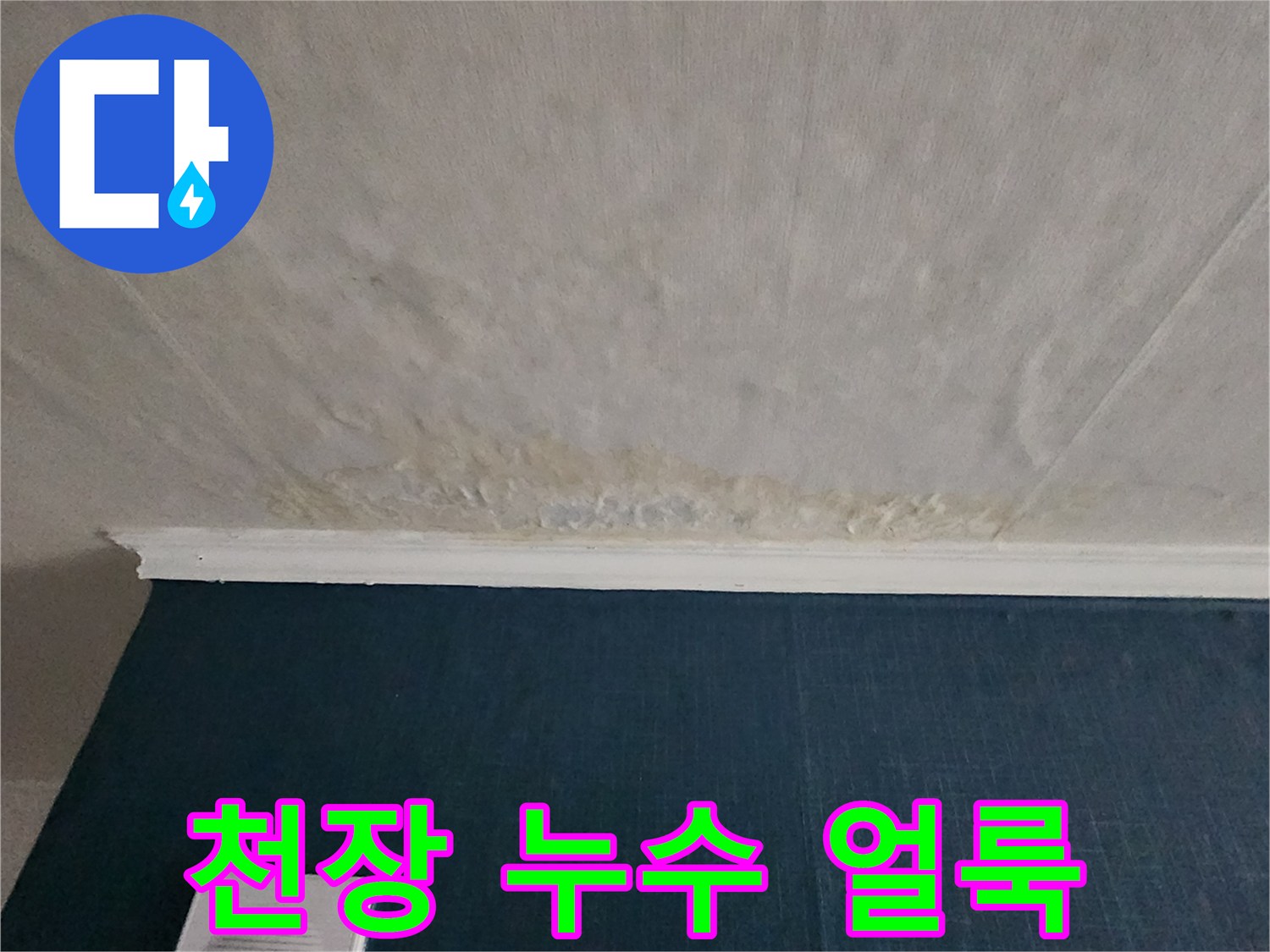 천장 벽지 상단의 불규칙한 누수 변색 부위