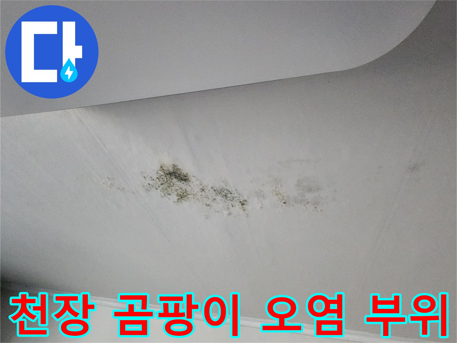 천장 표면에 나타난 곰팡이 및 습기 침투 흔적