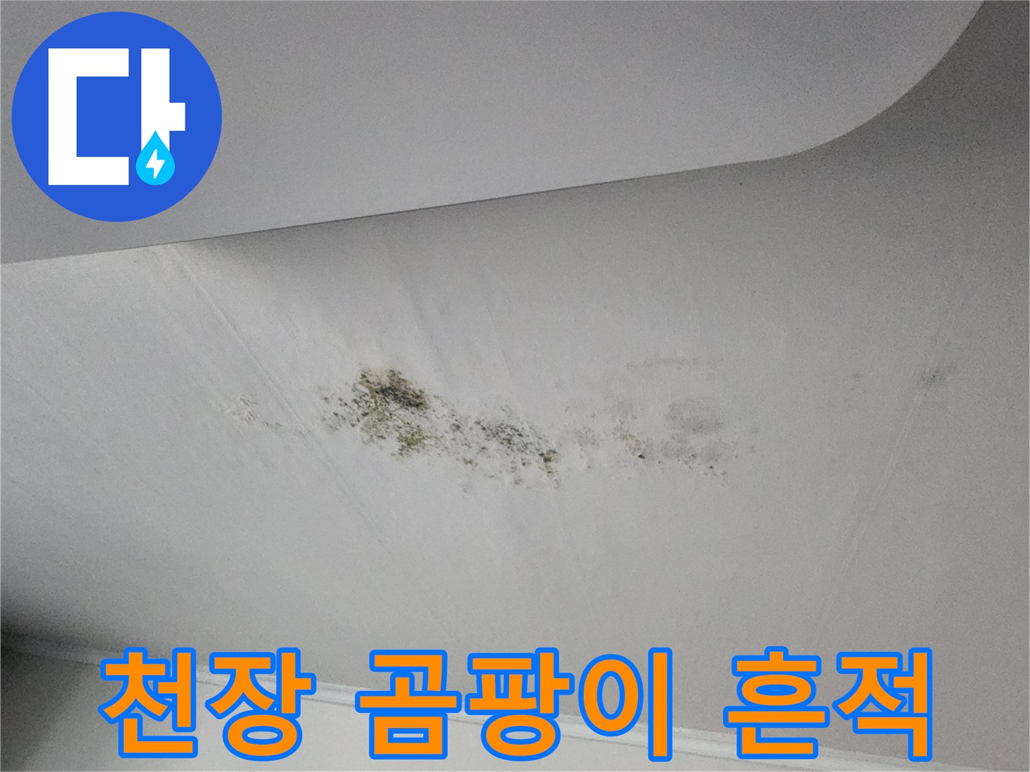 천장 표면에 나타난 곰팡이와 물자국
