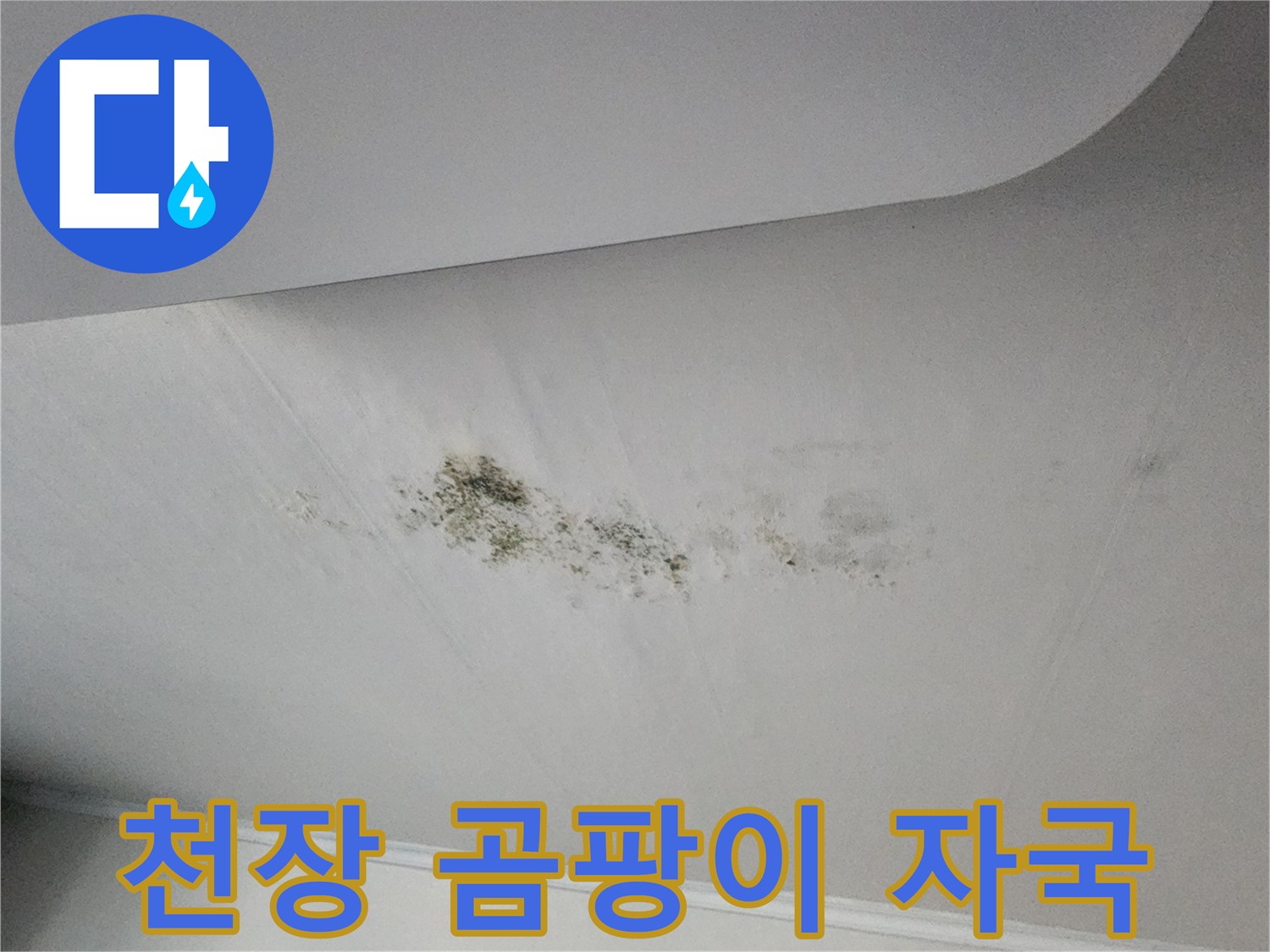 천장의-얼룩진-부위와-발생한-곰팡이-상태