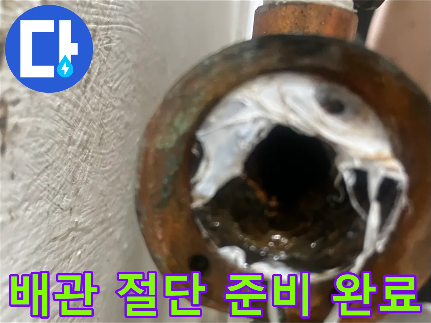 양천구 누수 해결 - 낡은 배관 절단 준비 완료