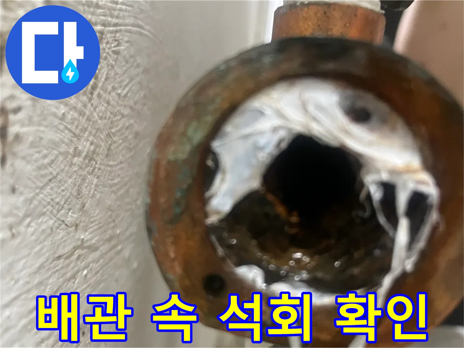 양천구 신월동 누수 - 배관 속 석회 확인 및 제거