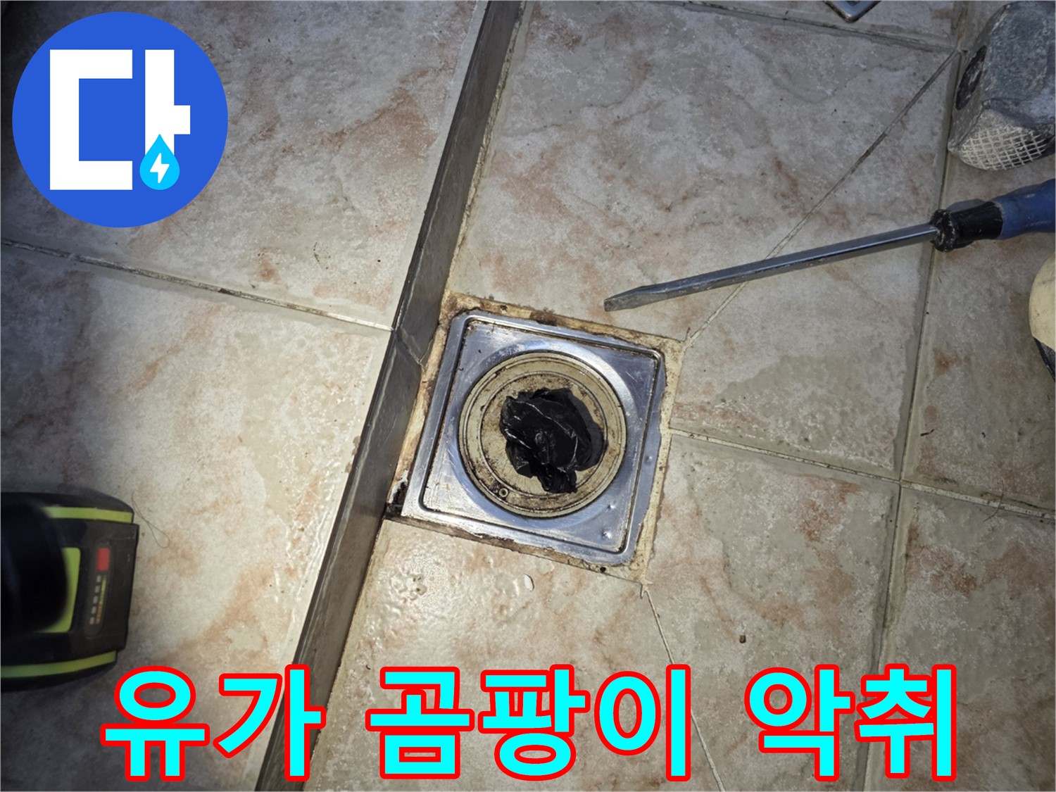 곰팡이로 오염된 욕실 유가