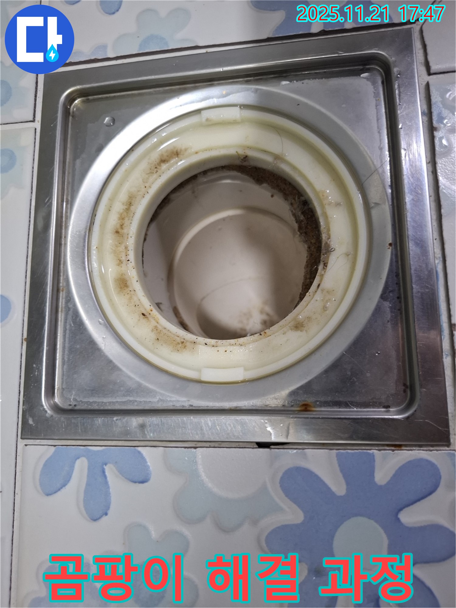 관악구 신림동 배수구 - 곰팡이 해결을 위한 배수구 청소 과정