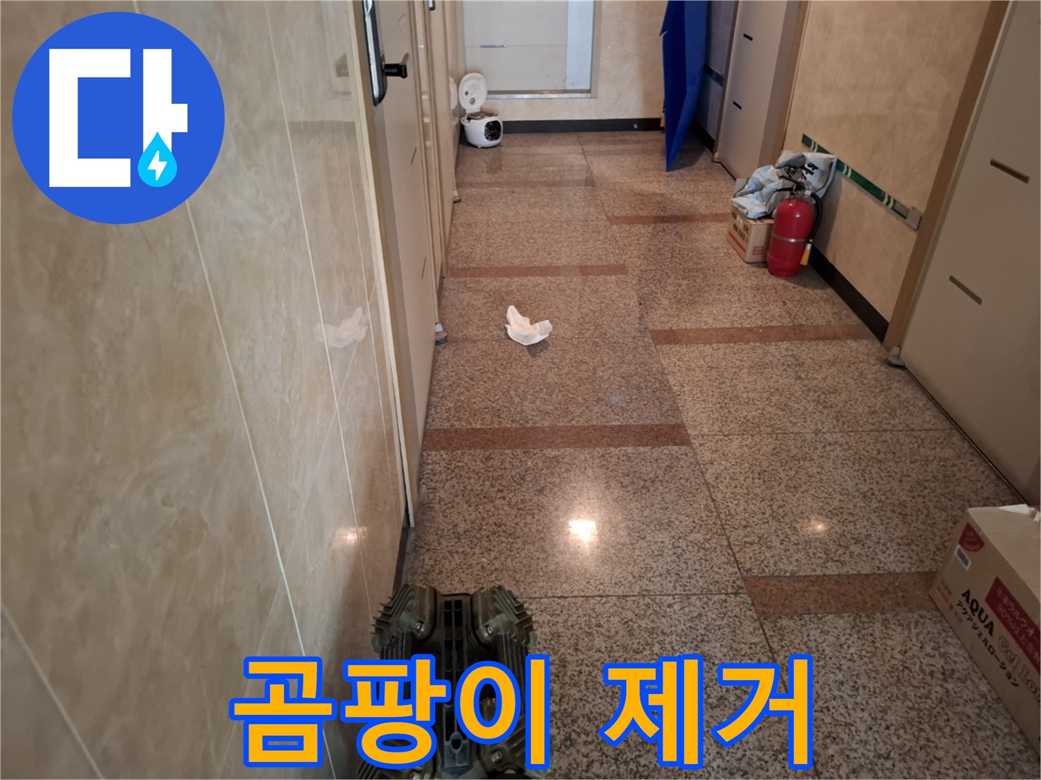 복도 누수 - 누수 해결과 곰팡이 제거를 한 번에!