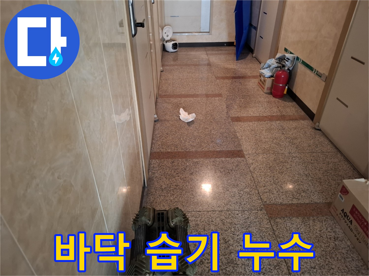 복도 바닥 습기 - 누수탐지를 위한 긴급 출동.