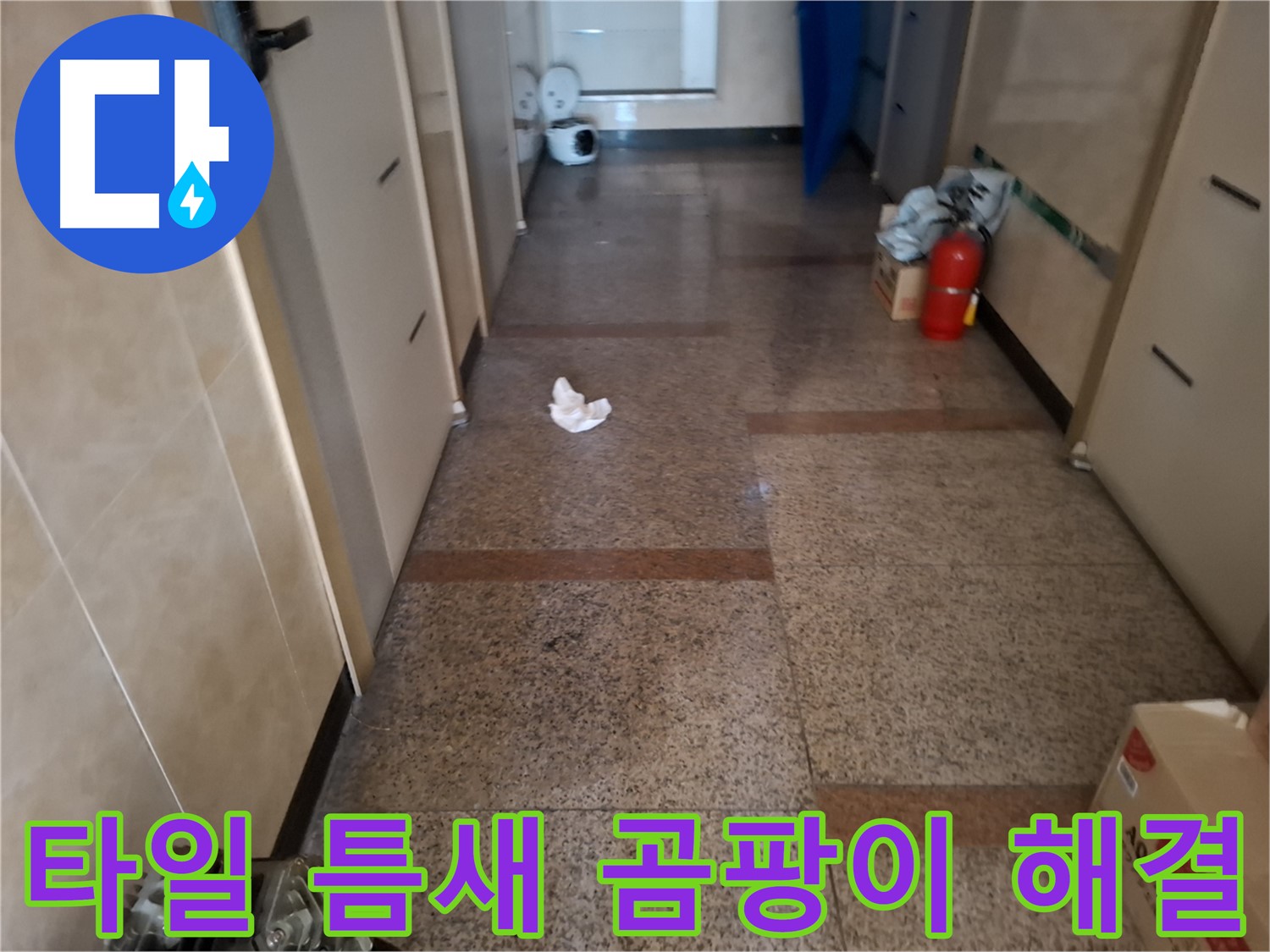 복도 타일 틈새 곰팡이 해결 - 문제 해결 - 신림 누수 전문가