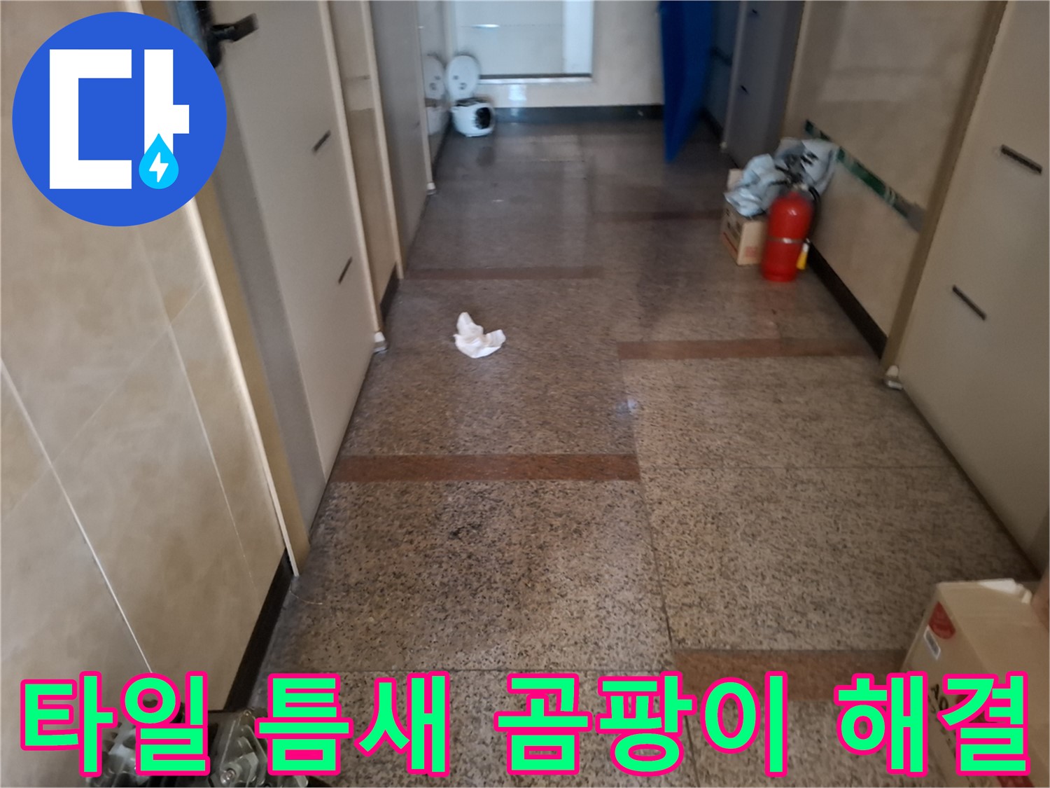 복도 타일 틈새 곰팡이 해결 - 확실 시공 - 신림 누수 전문