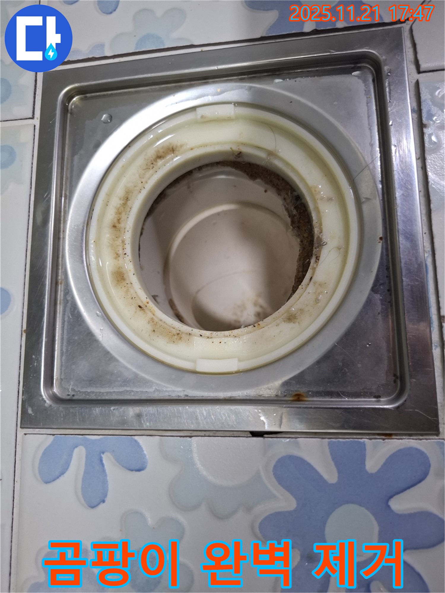 신림 배수구 전문가 - 욕실 배수구 곰팡이 완벽 제거를 위한 전문 장비 사용