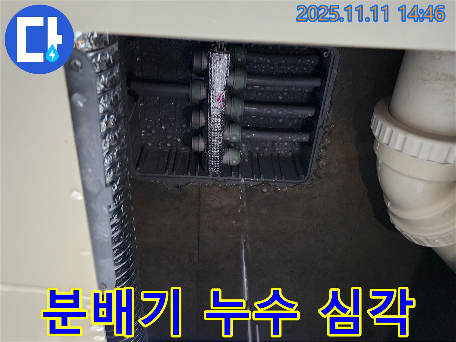 다세대 주택 분배기 누수 - 물 떨어짐