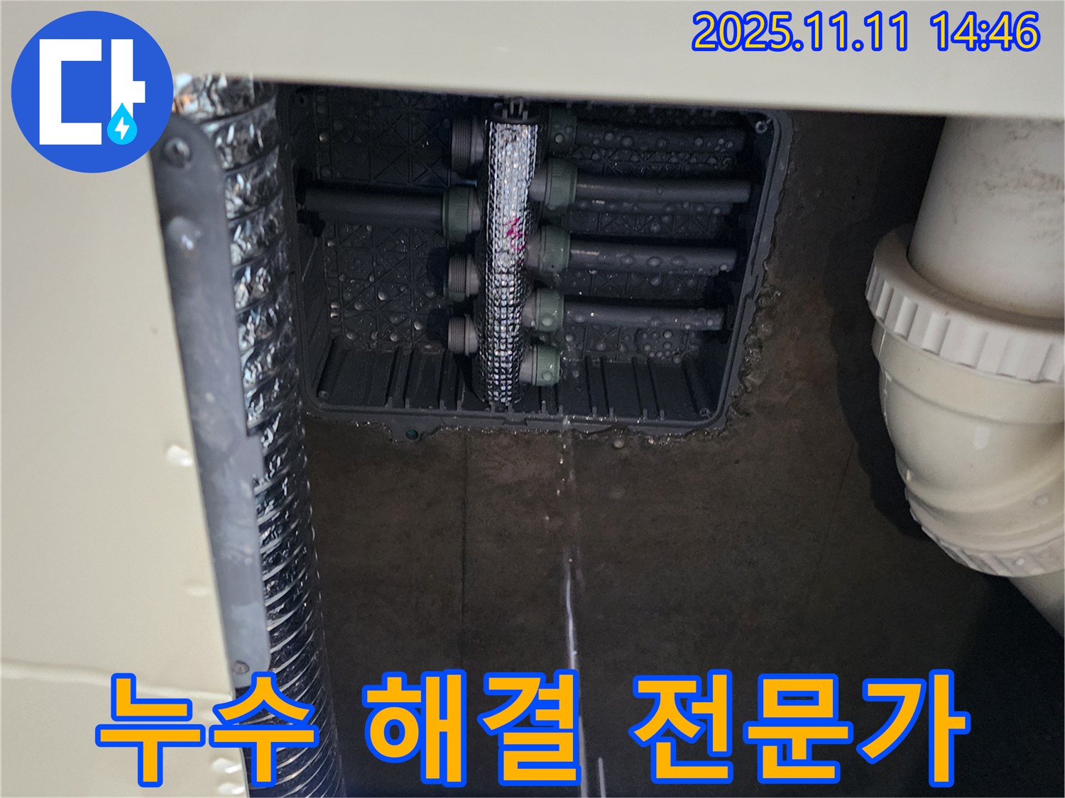 분배기 누수 - 전문가의 손길