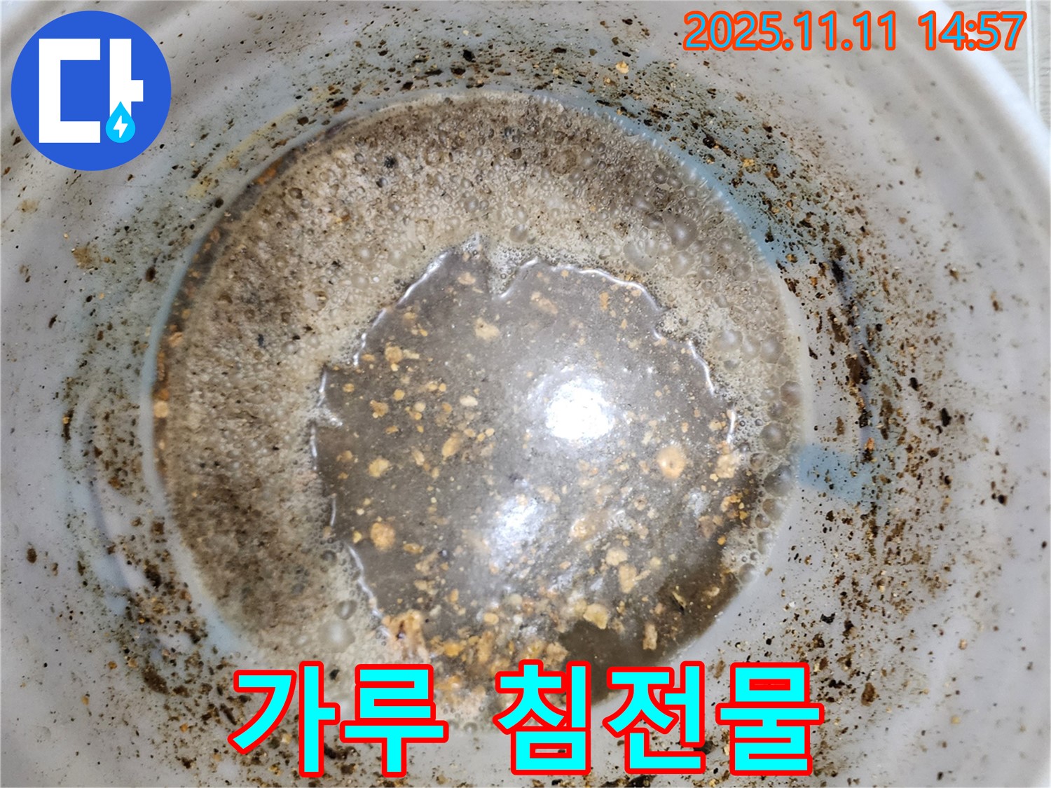 초가팔리 누수 - 하얀 가루 침전물은 석회질 누수 가능성을 시사합니다.