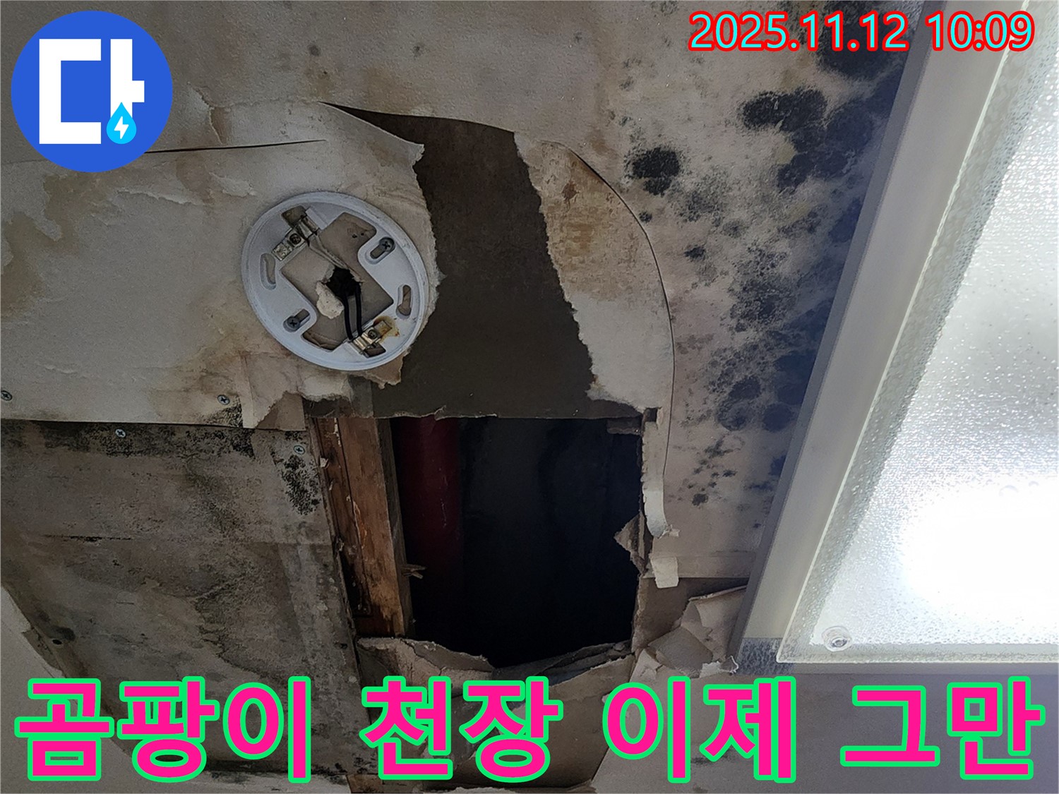 A/S 보장 약속 - 곰팡이 천장 누수 문제 발생 시 책임지고 A/S