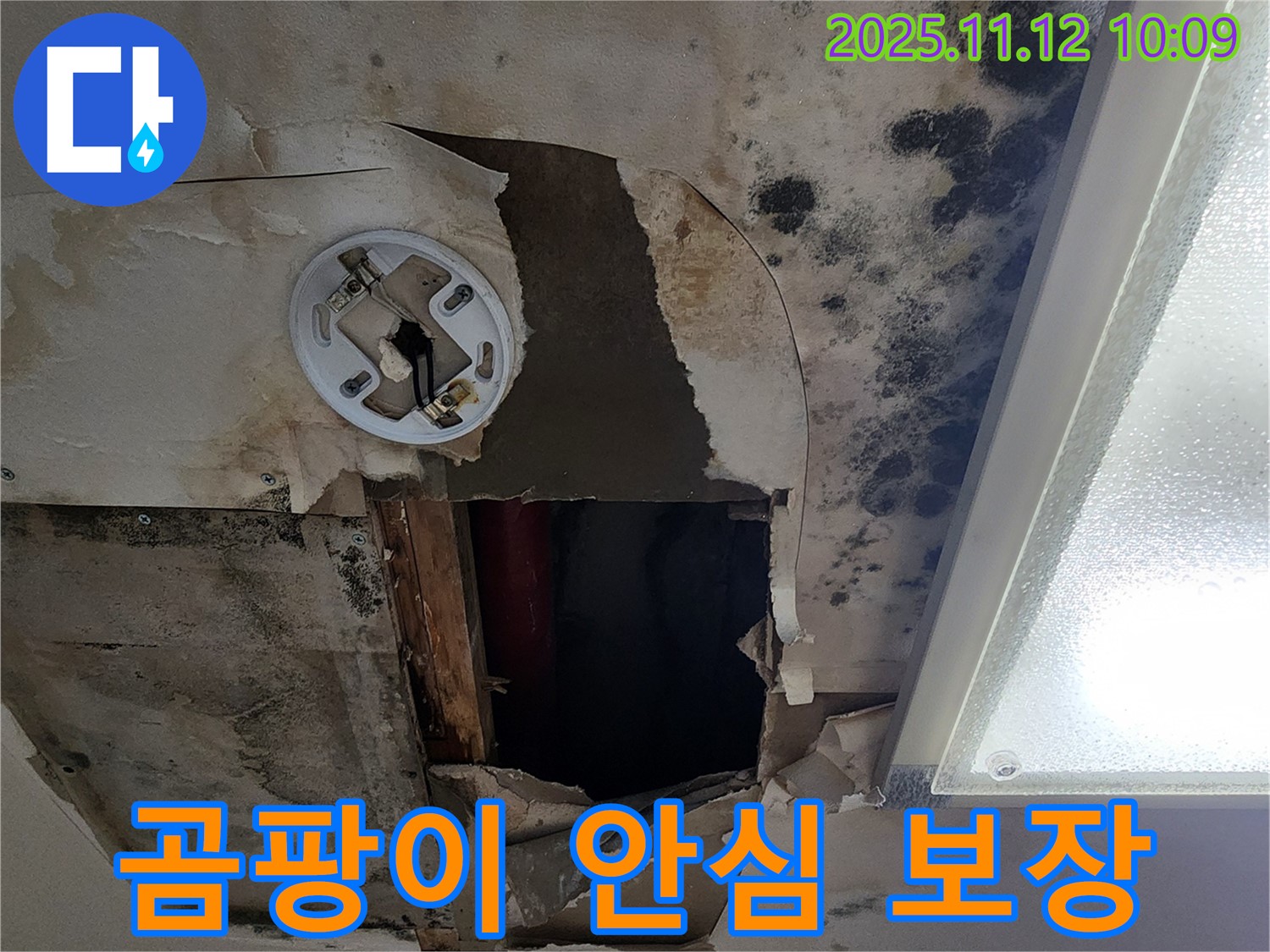 A/S 보장 약속 - 곰팡이 천장 누수 문제 발생 시 책임지고 A/S