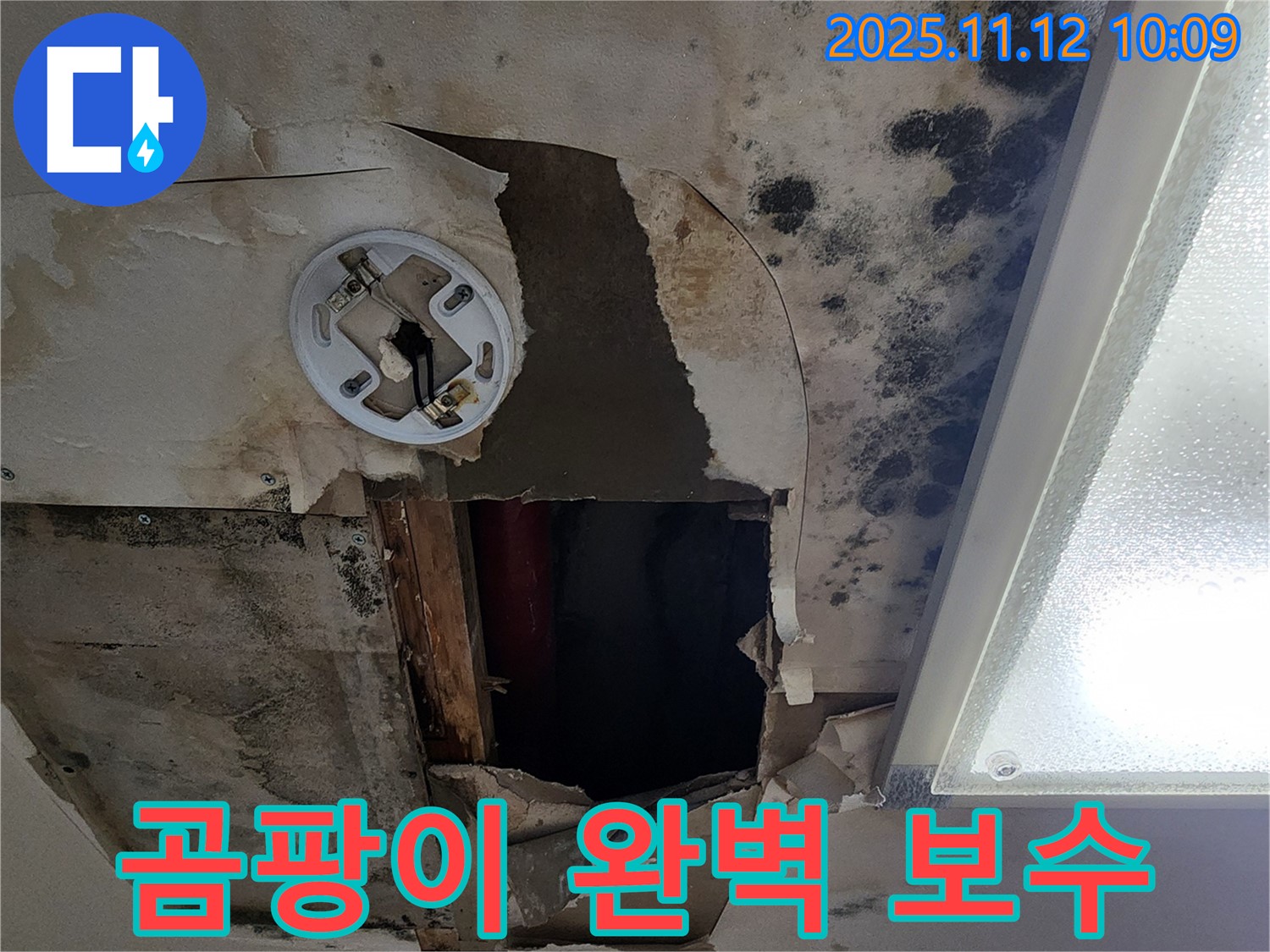 A/S 보장 약속 - 곰팡이 천장 누수 문제 발생 시 책임지고 A/S
