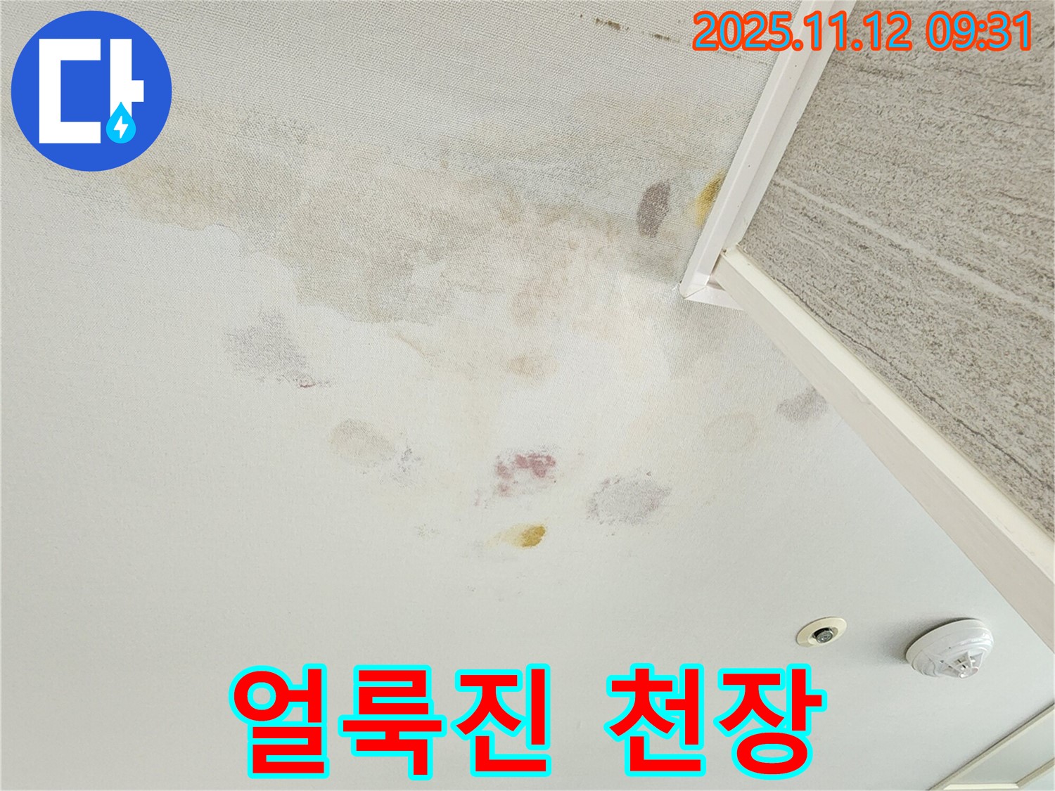 경기도 포천시 소흘읍 누수 - 얼룩진 천장, 빠른 점검 필수