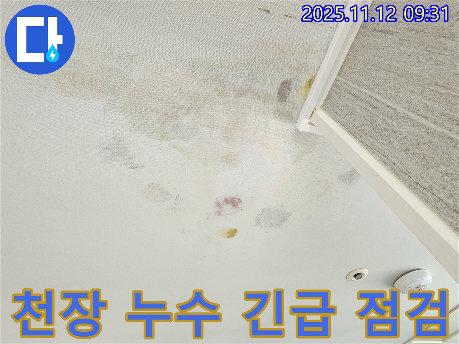 경기도 포천시 소흘읍 누수 - 천장 누수 긴급 점검
