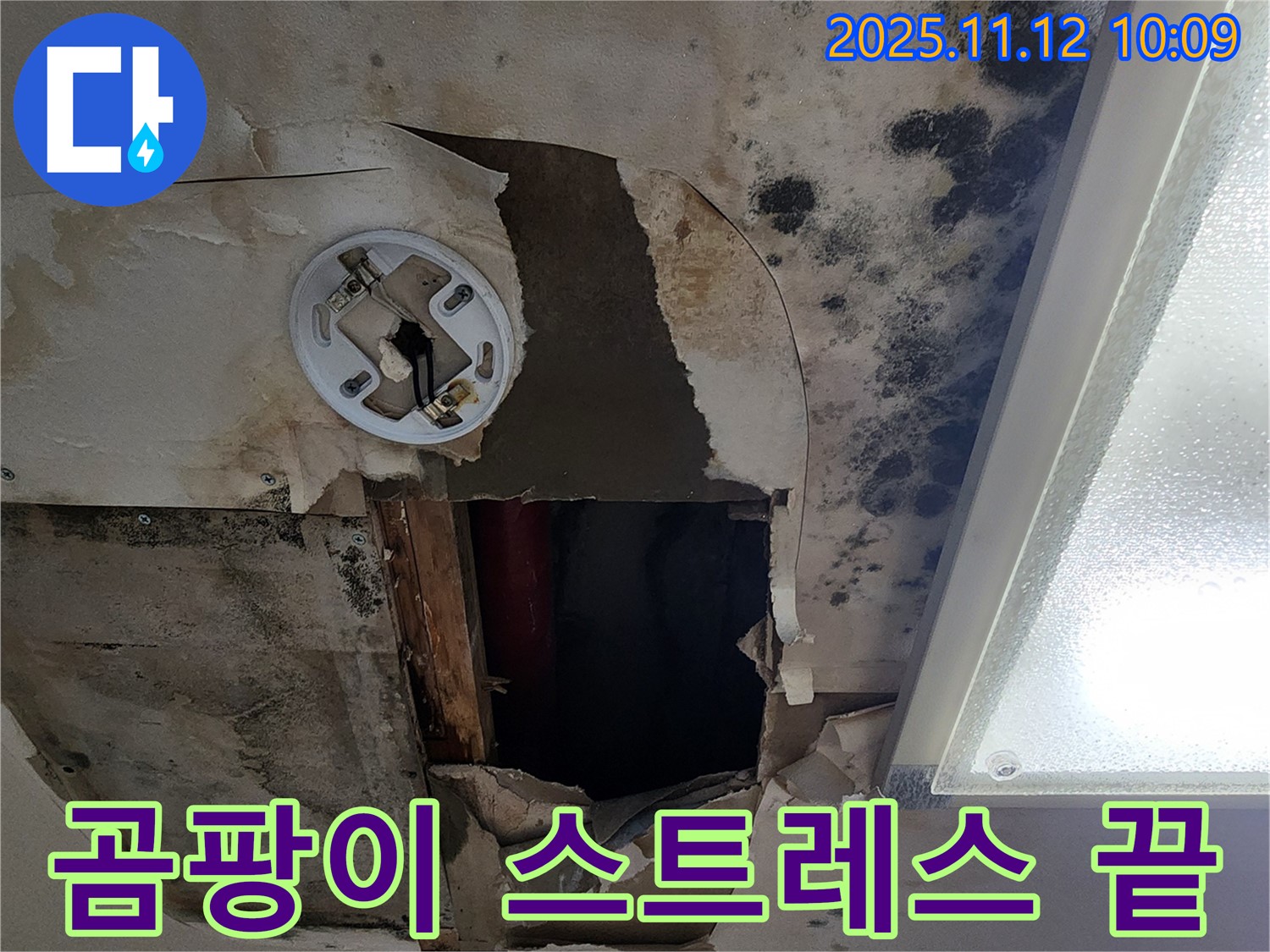 고객 만족 후기 - 곰팡이 천장 누수 완벽 해결 후 고객 감동