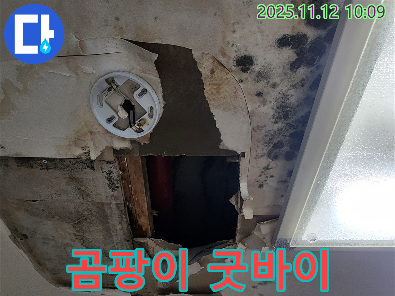 고객 만족 후기 - 곰팡이 천장 누수 완벽 해결 후 고객 감동