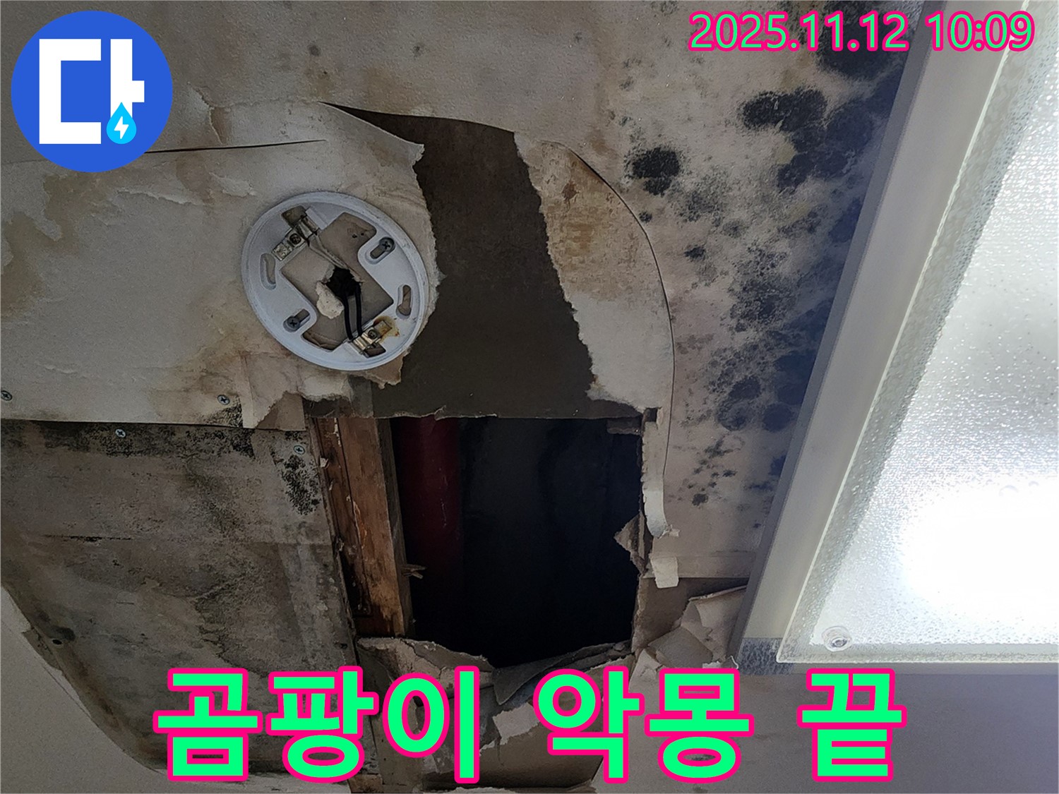 고객 만족 후기 - 곰팡이 천장 누수 완벽 해결 후 고객 감동