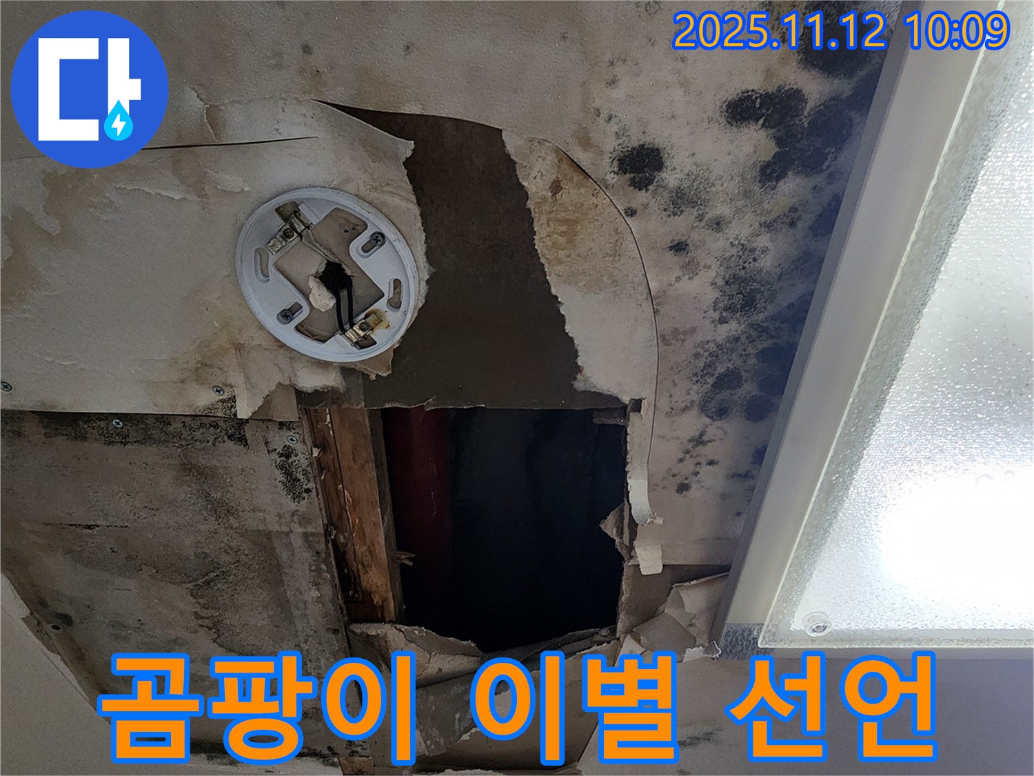 고객 만족 후기 - 곰팡이 천장 누수 완벽 해결 후 고객 감동