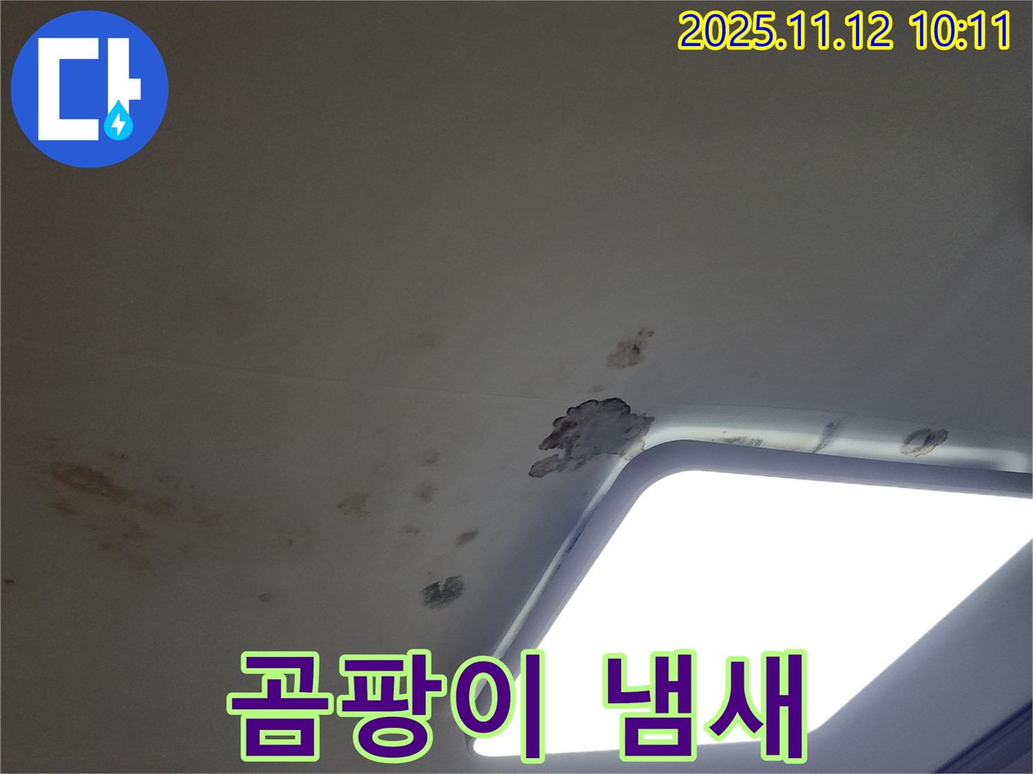 곰팡이 냄새 - 건강 주의