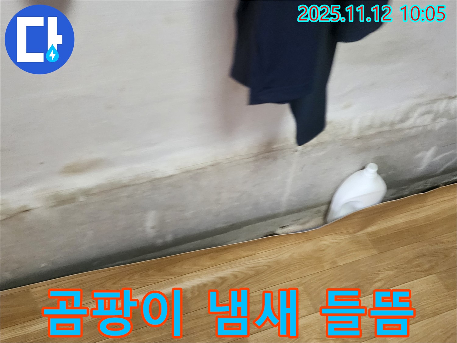 곰팡이 냄새 - 들뜬 장판 - 쾌적한 환경