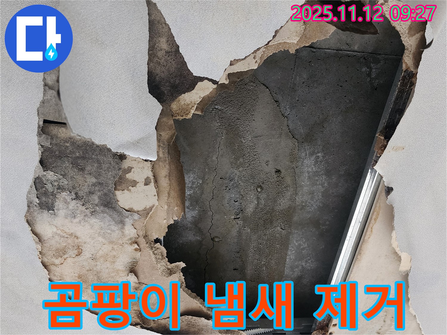곰팡이 냄새 제거 - 쾌적한 공간으로 만들어 드립니다.
