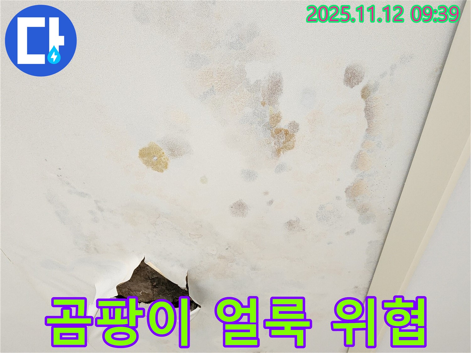 곰팡이 - 누수 얼룩 - 건강과 건물 위협