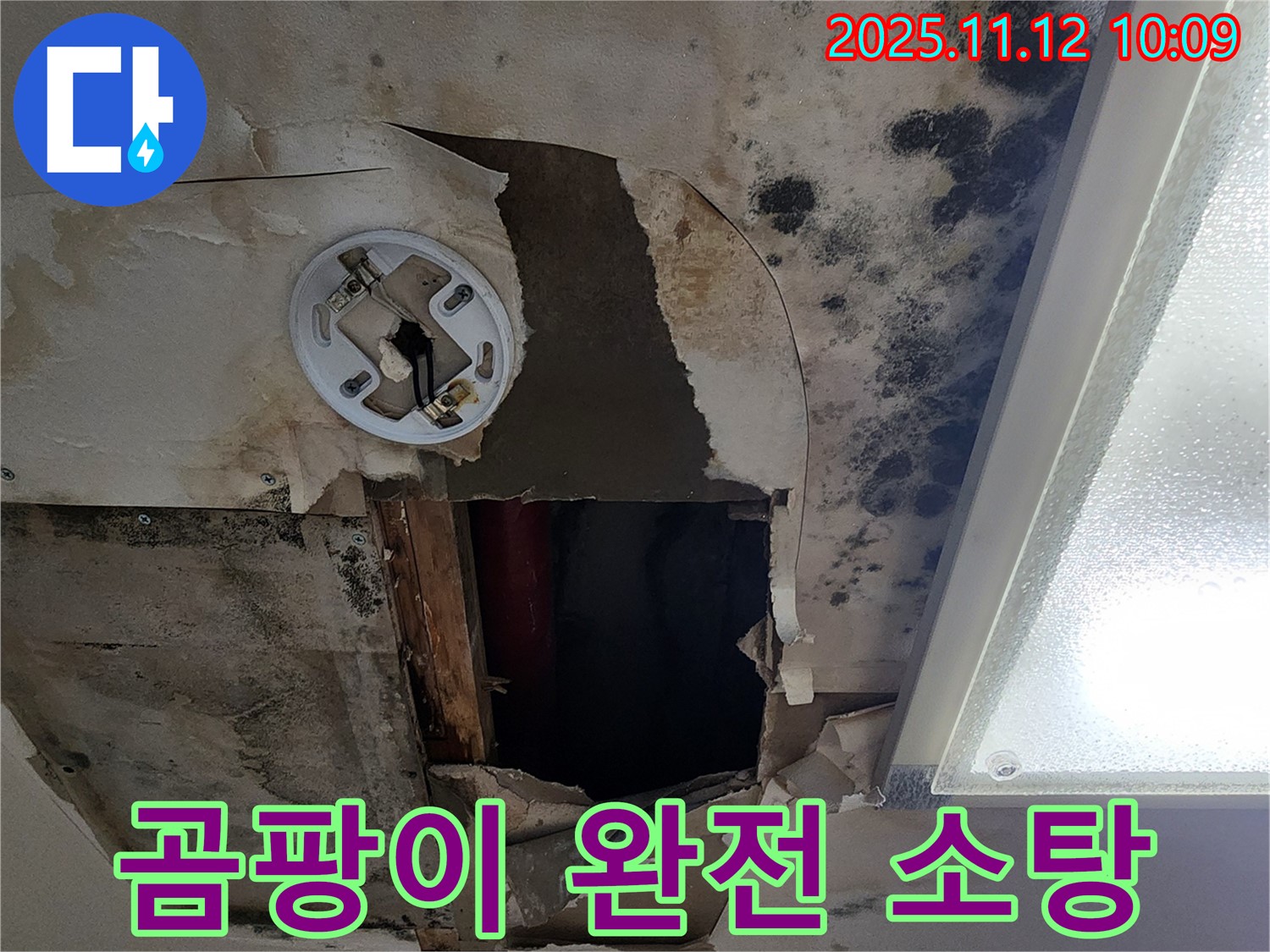 곰팡이 제거 시공 - 친환경 약품으로 곰팡이 완벽 제거 및 방지