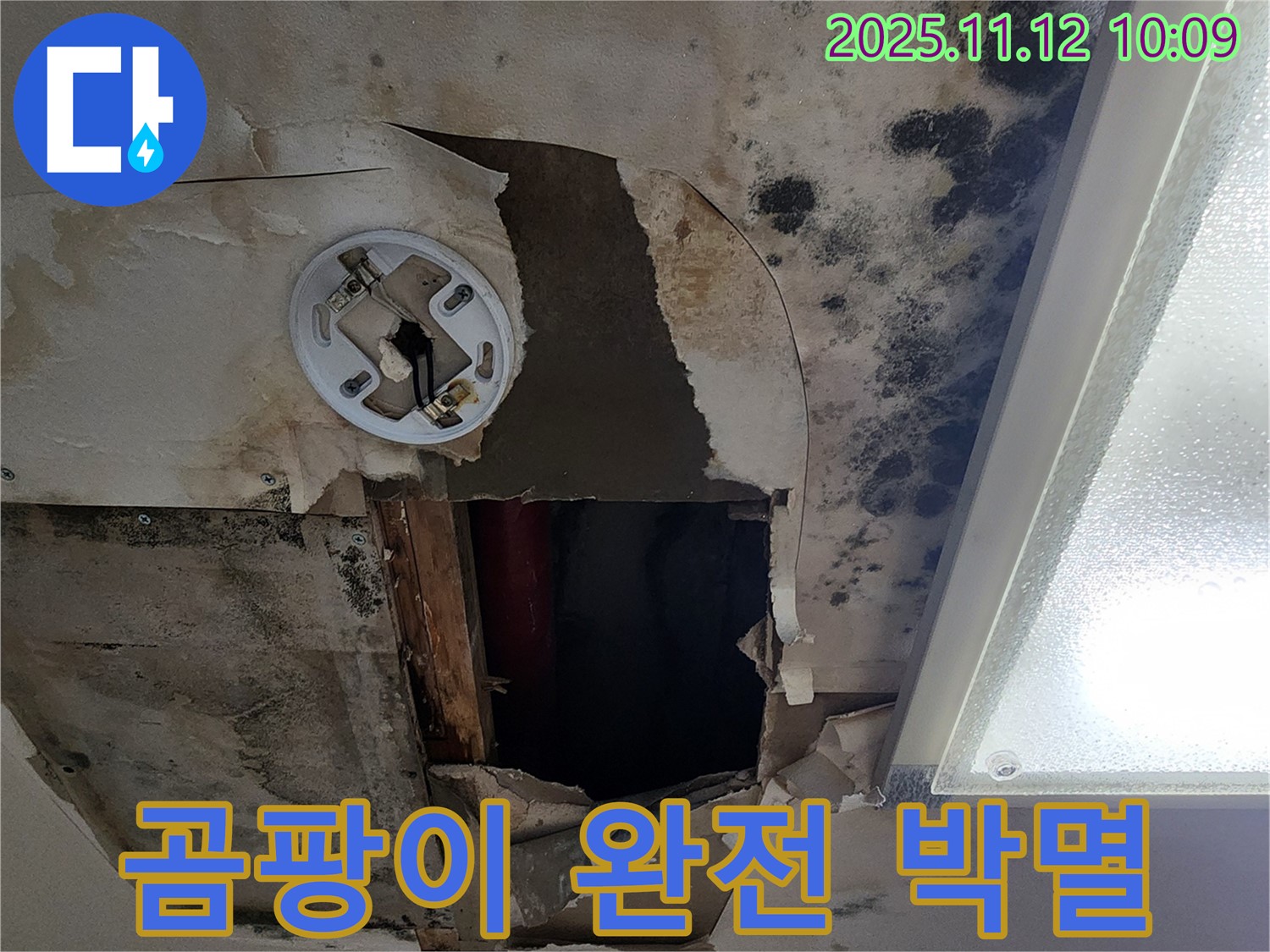 곰팡이 제거 시공 - 친환경 약품으로 곰팡이 완벽 제거 및 재발 방지