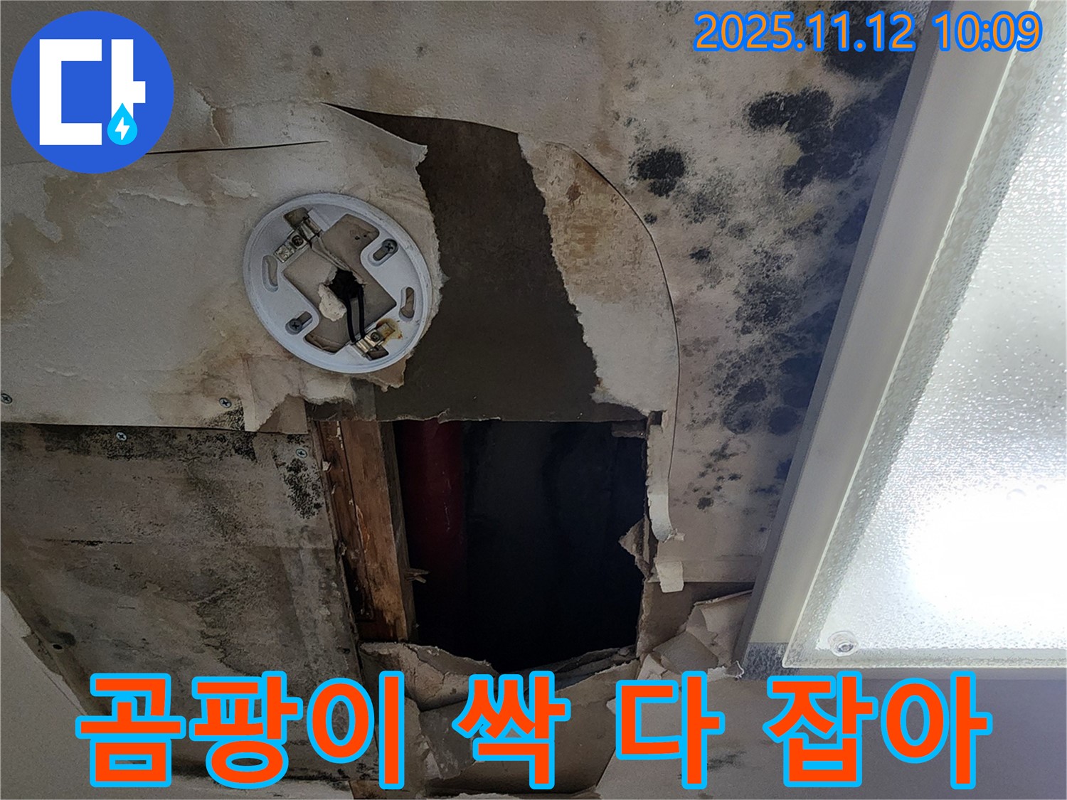 곰팡이 제거 시공 - 친환경 약품으로 곰팡이 완전 제거 및 방지
