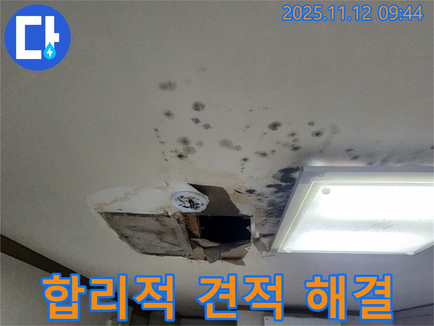 곰팡이 제거 - 합리적 견적 - 확실 시공 - 고객 만족 최우선