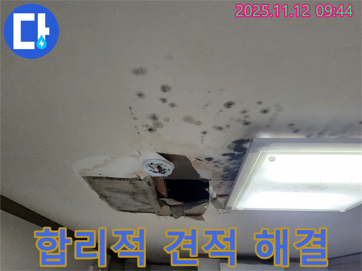 곰팡이 제거 - 합리적 견적 - 확실 시공 - 투명 견적 제공