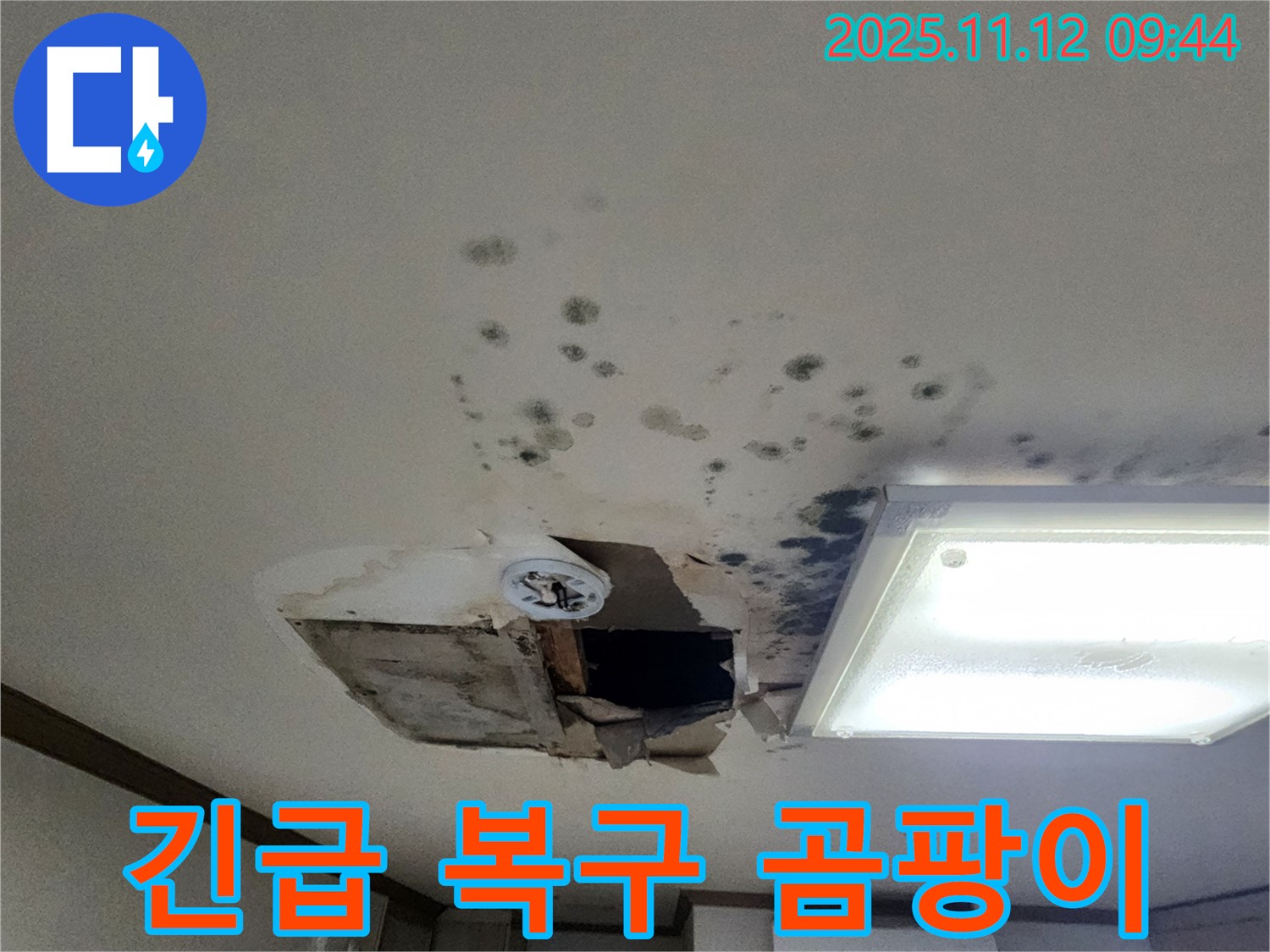 곰팡이 천장 - 석고보드 붕괴 - 긴급 복구 - 곰팡이 제거 시공