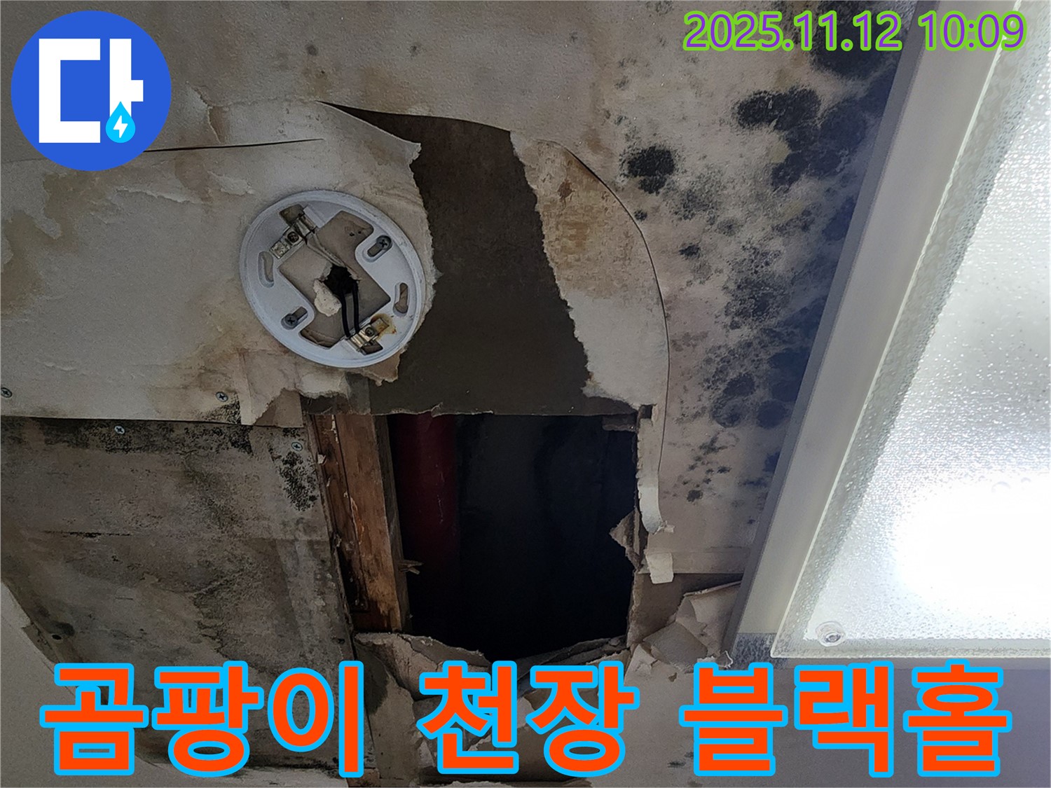 곰팡이로 뒤덮인 천장 - 누수 블랙홀에서 탈출하세요