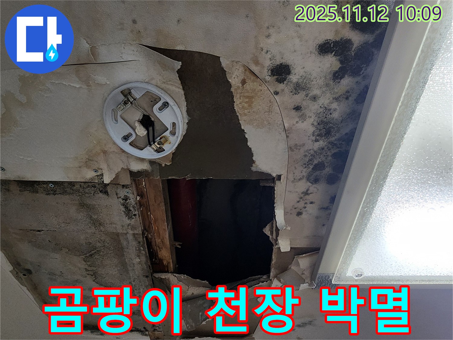 곰팡이로 뒤덮인 천장 - 누수 완전 박멸 작전 개시